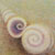 Shell Spirit