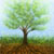 Tree Of Life