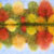 Autumn Reflection
